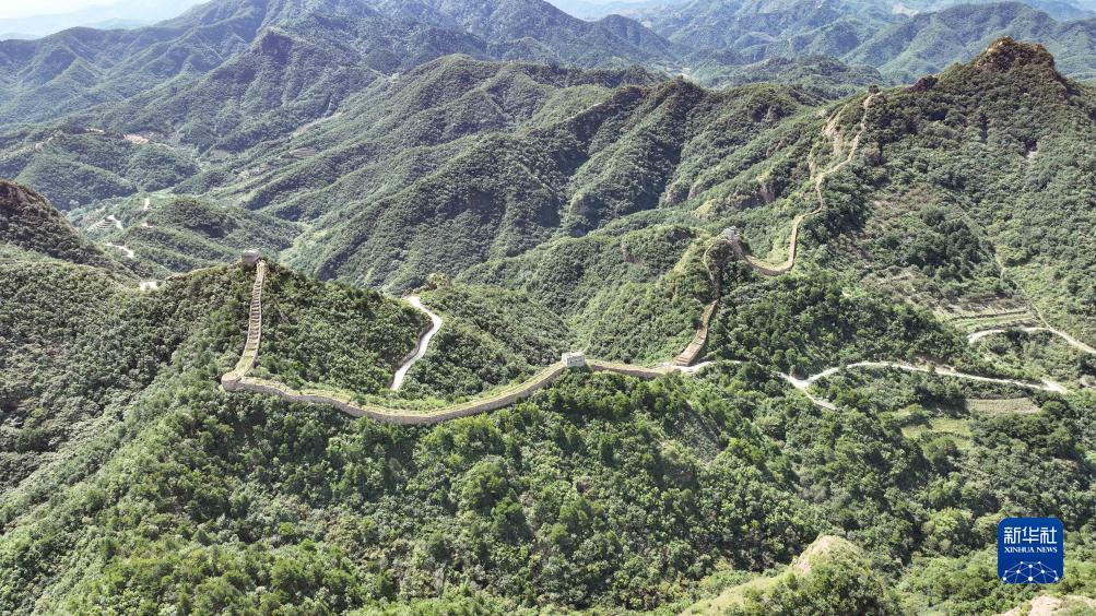 澳门 跳槽彩金